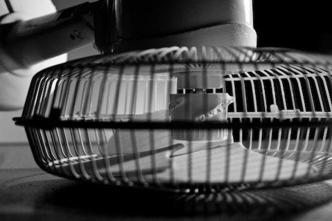 Left: a crashed desk fan, once kept on balance only by the push its spinning blades